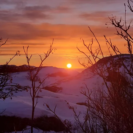I Sund, Lofoten Casa vacanze