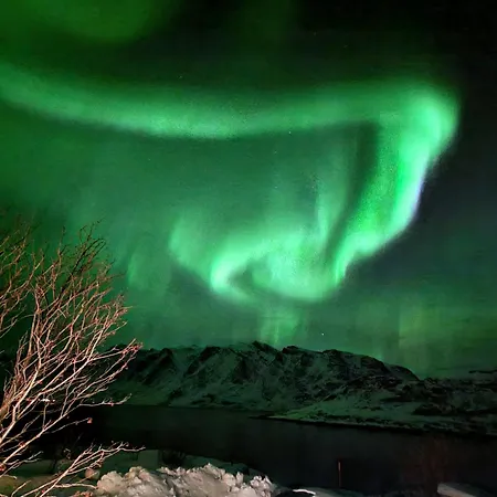 I Sund, Lofoten 拉姆贝格